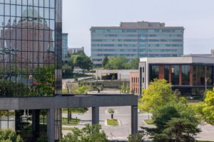 AdobeStock_1005121236