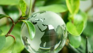 AdobeStock_300994197