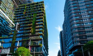 AdobeStock_387084132