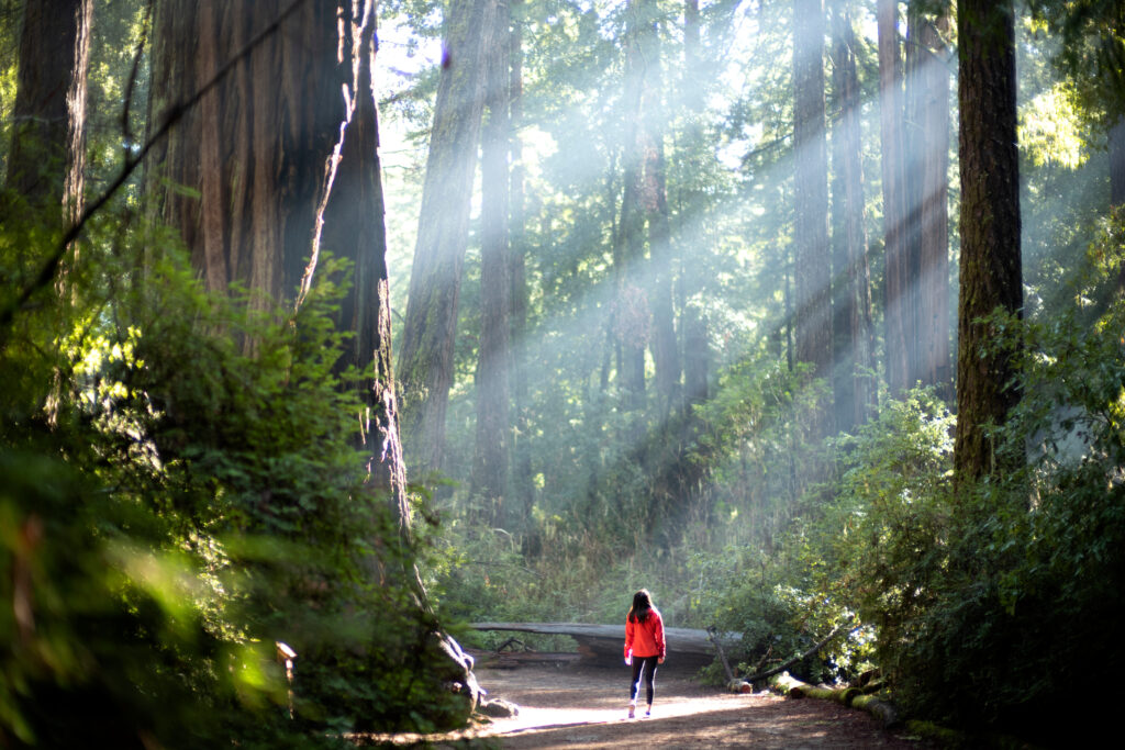 AdobeStock_323570070-1024x683.jpeg