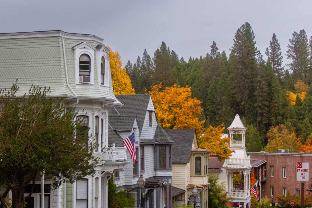 AdobeStock_1838493731-1024x683.jpeg