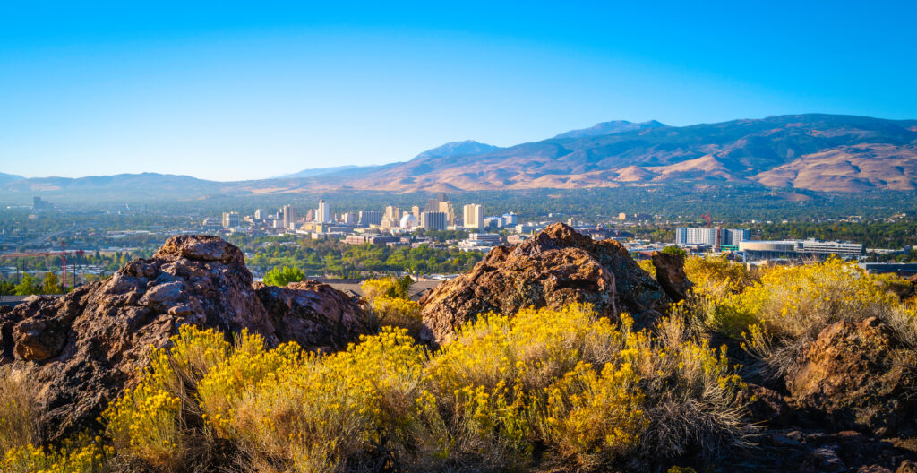 AdobeStock_537910917-1024x528.jpeg